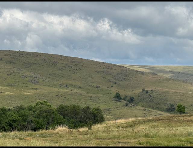1,730HA FARM FOR SALE IN DARGLE